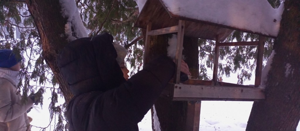 IMG_20260219_080747_166