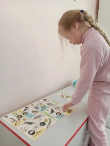 эколог